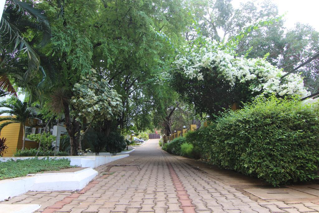 Rainforest - Casa Del Sol, Anjuna - 3 Kms From The Beach Экстерьер фото